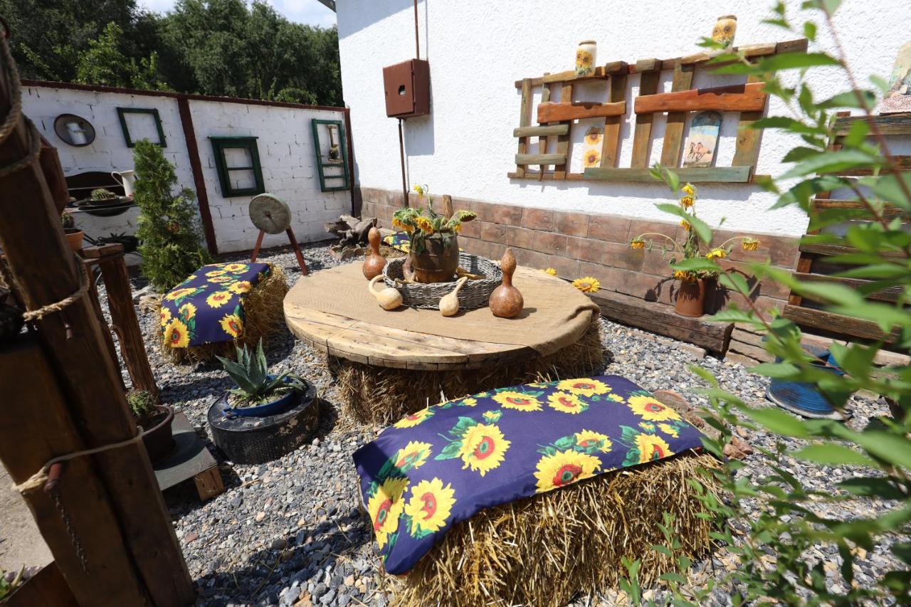 Etno Kuca Teodora Bed and Breakfast Stajicevo Exteriör bild